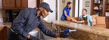 Real Estate Pest Inspections in Mi Wuk Village, CA